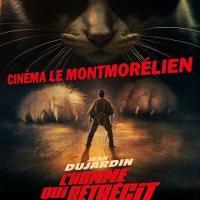 L'HOMME QUI RÉTRÉCIT