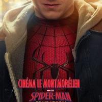 SPIDER-MAN : BRAND NEW DAY