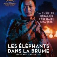 LES &Eacute;L&Eacute;PHANTS DANS LA BRUME - VOST
